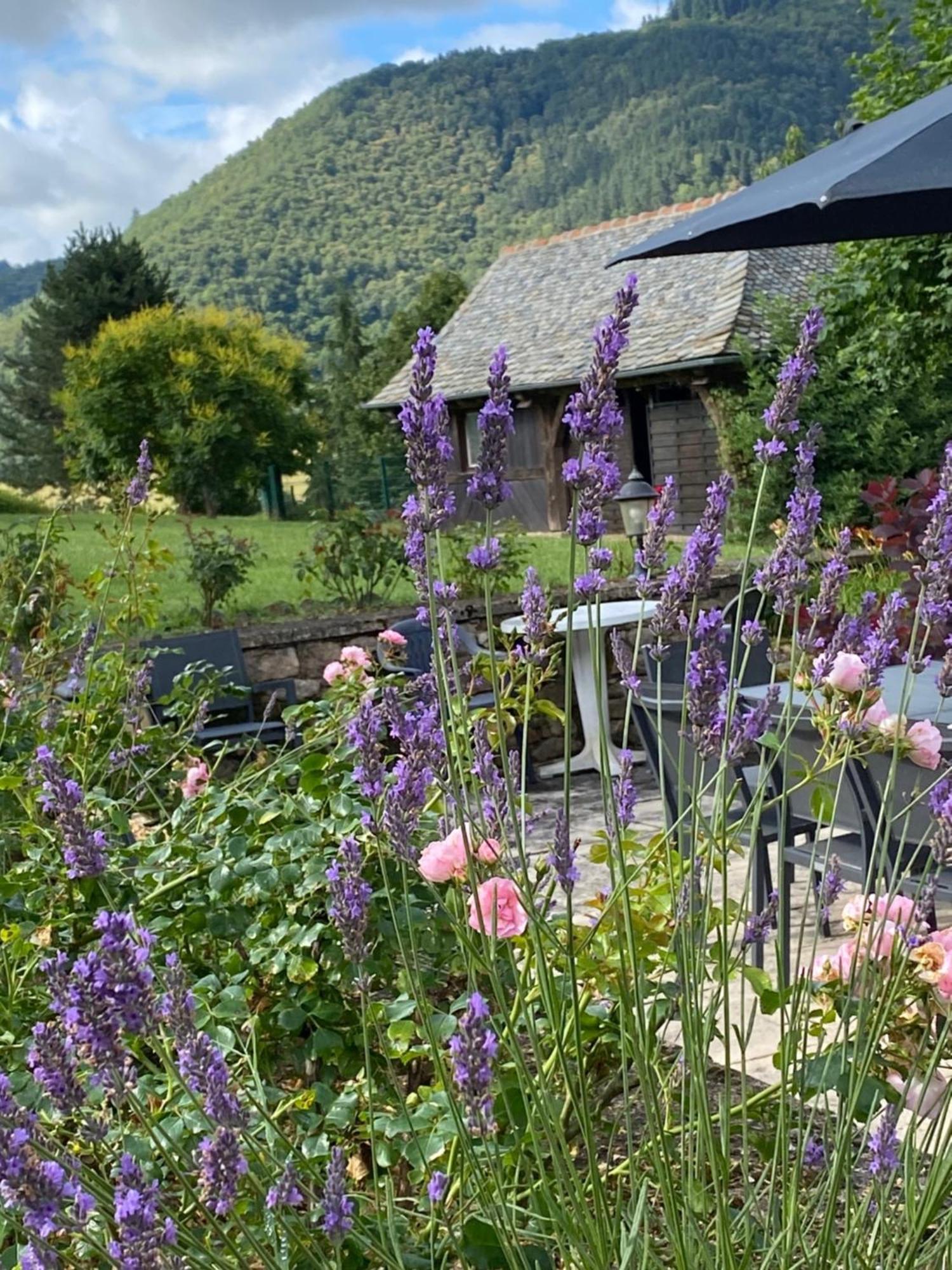 Le Clos St Georges Hotel Entraygues-sur-Truyere Exterior photo